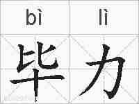 毕力的拼音