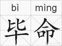 毕命的拼音