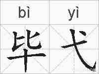 毕弋的拼音