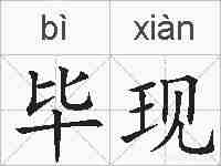 毕现的拼音