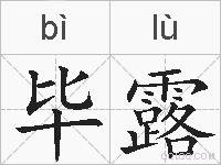 毕露的拼音