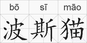 波斯猫的拼音