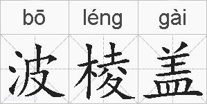 波棱盖的拼音
