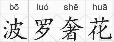波罗奢花的拼音