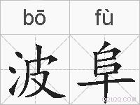 波阜的拼音