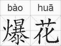 爆花的拼音