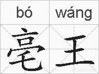 亳王的拼音