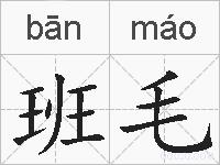 班毛的拼音