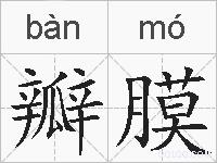 瓣膜的拼音