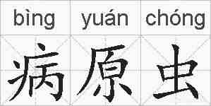 病原虫的拼音