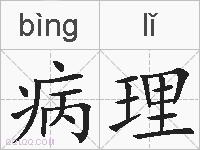 病理的拼音