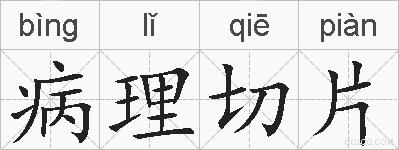 病理切片的拼音