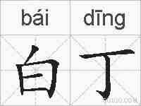 白丁的拼音