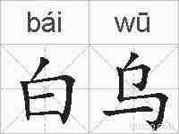 白乌的拼音