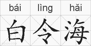 白令海的拼音