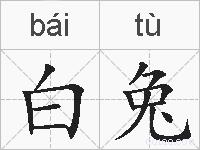 白兔的拼音