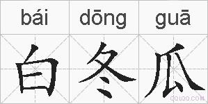 白冬瓜的拼音