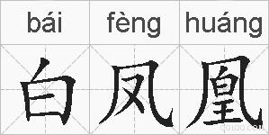 白凤凰的拼音