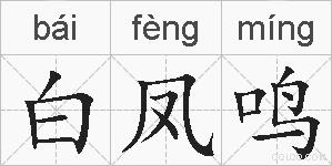 白凤鸣的拼音