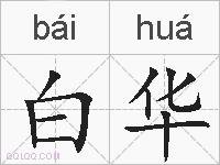 白华的拼音
