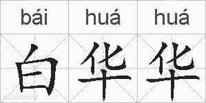 白华华的拼音