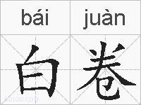 白卷的拼音