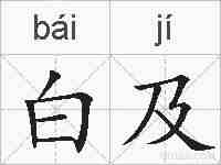 白及的拼音