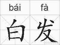 白发的拼音