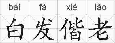 白发偕老的拼音