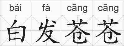 白发苍苍的拼音