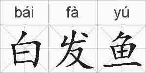 白发鱼的拼音