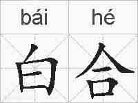白合的拼音