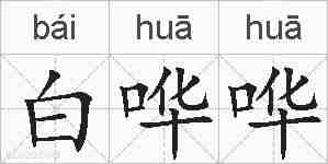 白哗哗的拼音