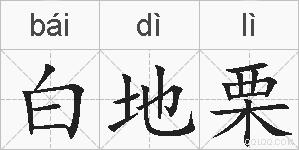 白地栗的拼音