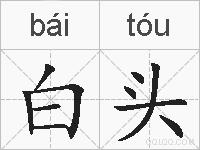 白头的拼音