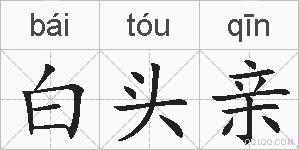 白头亲的拼音