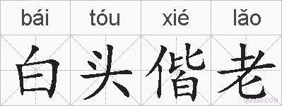 白头偕老的拼音