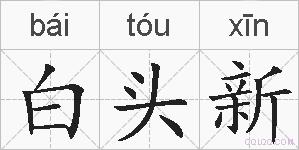 白头新的拼音