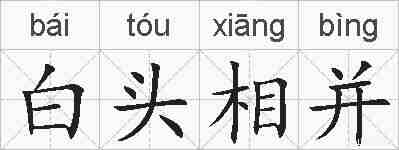 白头相并的拼音