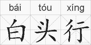 白头行的拼音