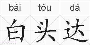 白头达的拼音