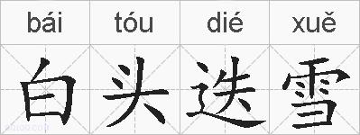 白头迭雪的拼音