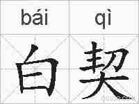 白契的拼音