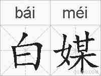 白媒的拼音