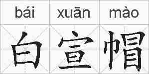 白宣帽的拼音