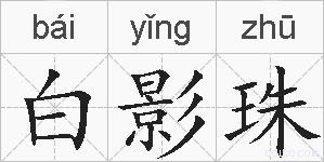 白影珠的拼音