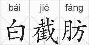 白截肪的拼音