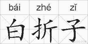 白折子的拼音