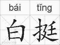 白挺的拼音