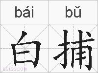 白捕的拼音